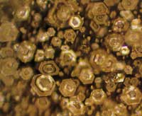 Thế giới kh&aacute;c trong một giọt nước: (Phần 2) Nước, nguồn gốc của sự sống - Tin180.com (Ảnh 8)