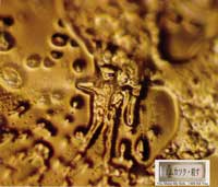 Thế giới kh&aacute;c trong một giọt nước: (Phần 2) Nước, nguồn gốc của sự sống - Tin180.com (Ảnh 14)