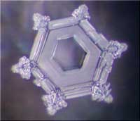 Thế giới kh&aacute;c trong một giọt nước: (Phần 2) Nước, nguồn gốc của sự sống - Tin180.com (Ảnh 18)