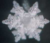 Thế giới kh&aacute;c trong một giọt nước: (Phần 2) Nước, nguồn gốc của sự sống - Tin180.com (Ảnh 16)