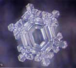 Thế giới kh&aacute;c trong một giọt nước: (Phần 2) Nước, nguồn gốc của sự sống - Tin180.com (Ảnh 26)