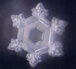 Thế giới kh&aacute;c trong một giọt nước: (Phần 2) Nước, nguồn gốc của sự sống - Tin180.com (Ảnh 24)