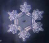 Thế giới kh&aacute;c trong một giọt nước: (Phần 2) Nước, nguồn gốc của sự sống - Tin180.com (Ảnh 28)