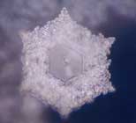 Thế giới kh&aacute;c trong một giọt nước: (Phần 2) Nước, nguồn gốc của sự sống - Tin180.com (Ảnh 30)