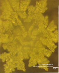 Thế giới kh&aacute;c trong một giọt nước: (Phần 3) Lời b&igrave;nhluận của nh&agrave; vật l&yacute; về kh&aacute;m ph&aacute; tinh thểnước phản &aacute;nh tư tưởng - Tin180.com (Ảnh 7)